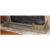 Image 1 : Fireplace Fender