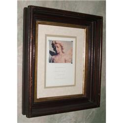 Victorian Frame