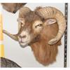 Image 1 : Ram Mount