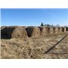 Image 1 : APPROX 45 OAT GREEN FEED BALES (2019); WEEDY.(CONTACT SELLER ABOUT LOADING)