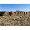 Image 2 : APPROX 45 OAT GREEN FEED BALES (2019); WEEDY.(CONTACT SELLER ABOUT LOADING)