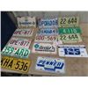 Image 1 : Approx 14 License Plates- 2 USA, 1960's & UP Various Provinces,  Wpg Centennial Topper Plus More