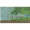 Image 5 : Signed C Springer Oil on Board Landscape