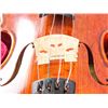 Image 5 : Algeria Violin "CINDERELLA" Bow & Case