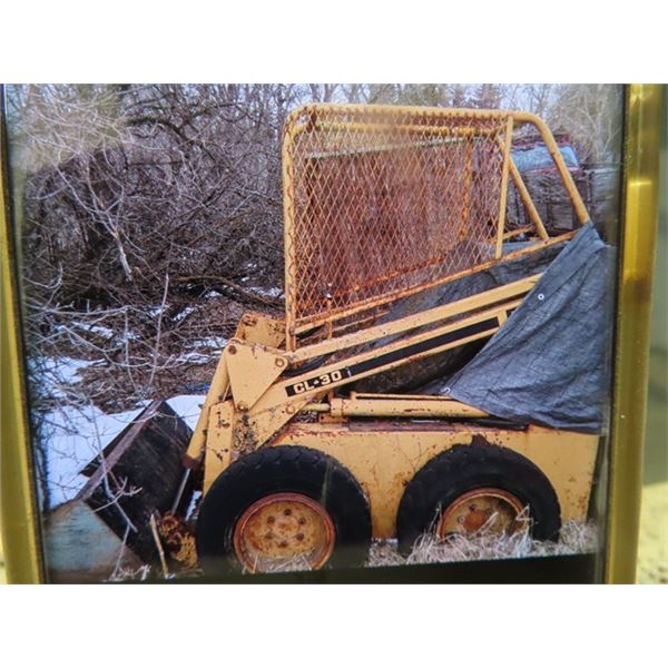 Ford CL-30 Skid Steer (Gas) Last Time Running was 10 Years Ago- From Estate Please contact For Viewi