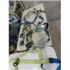 Image 2 : Safety Harness