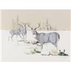 Image 1 : C. M. Henderson Deer Print Limited edition