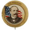 Image 1 : Alton Parker Political Campaign Button