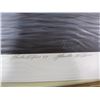 Image 8 : 3 NUMBERED PRINTS BY MARLA WILSON. THE TIMBERWOLF, THE ORCAS & THE FOX