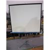 Image 2 : DAYLIGHT PROJECTOR SCREEN