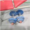 Image 2 : WEIDER WEIGHT BENCH WITH 2 DUMBBELLS