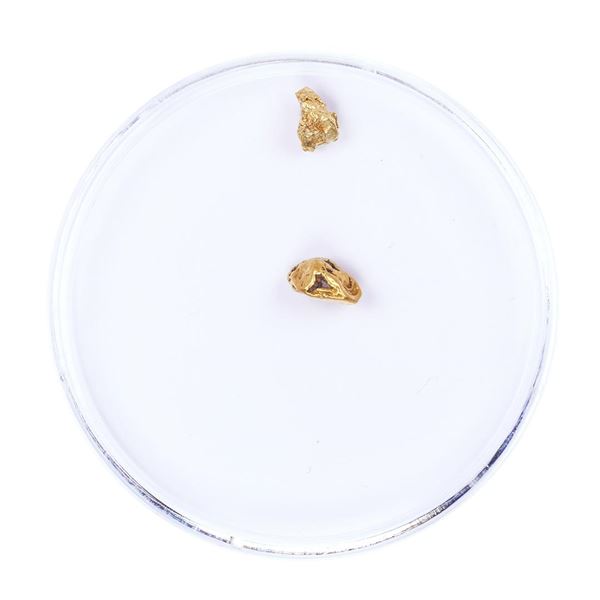 Lot of Gold Nuggets 0.88 Grams Total Weight