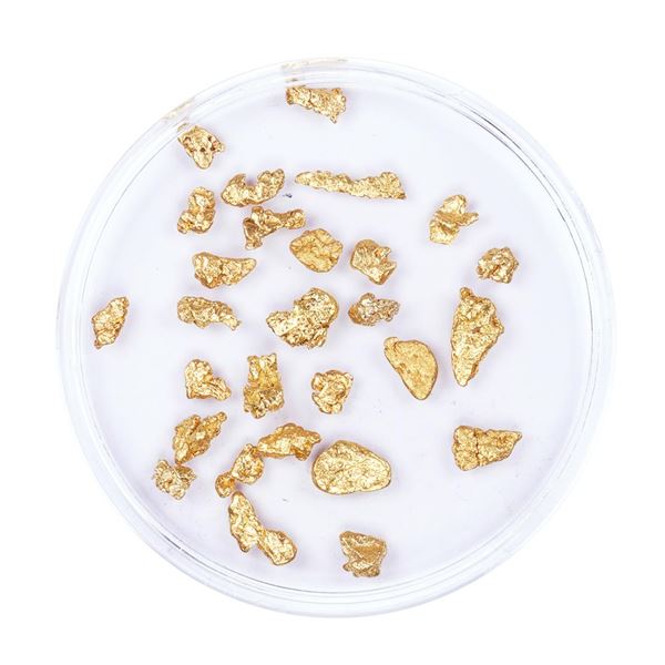 Lot of Gold Nuggets 3.21 Grams Total Weight