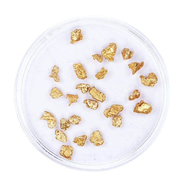 Lot of Gold Nuggets 3.00 Grams Total Weight