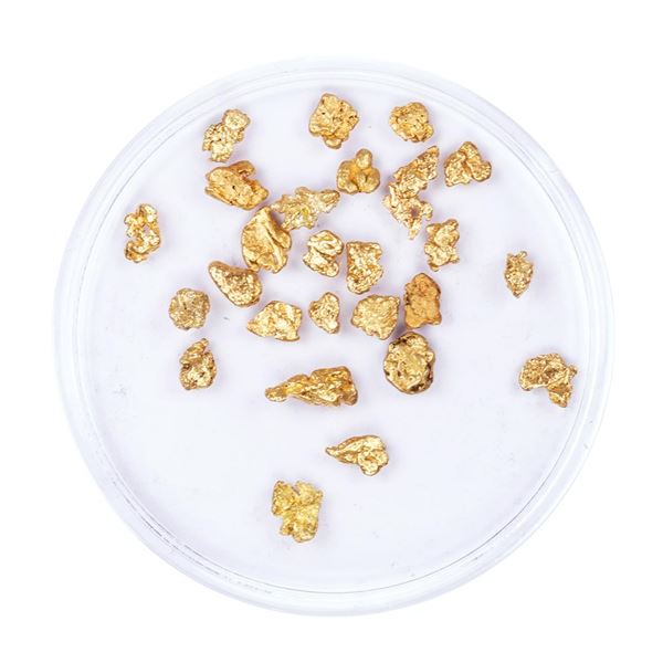 Lot of Gold Nuggets 3.00 Grams Total Weight