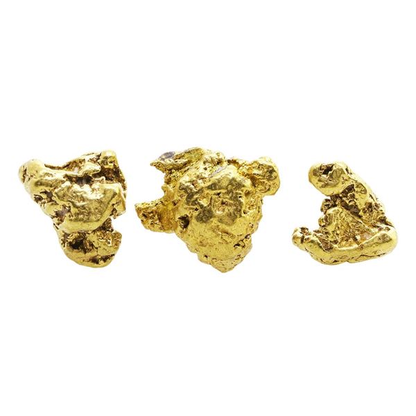 Lot of Gold Nuggets 10.84 Grams Total Weight