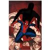 Image 1 : Marvel Comics "Fear Itself: Spider-Man #1" Limited Edition Giclee
