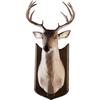Image 1 : The Amazing Talking Buck Mount