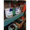 Image 1 : 4 cans of various paint and primer