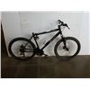 Image 1 : BLACK IRON HORSE BIKE