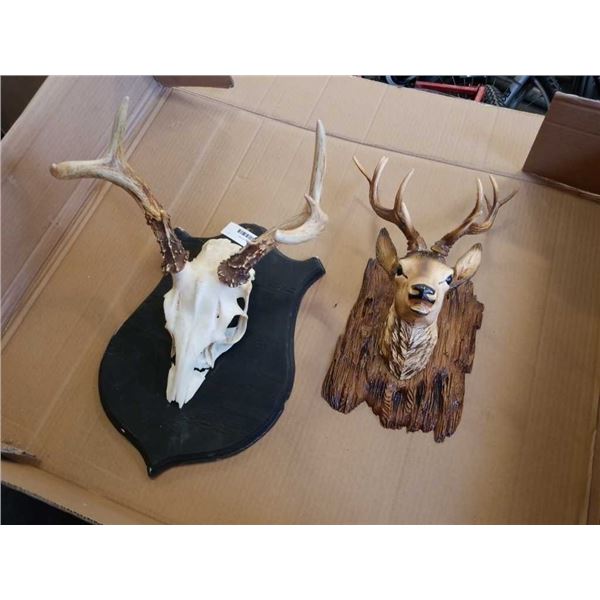 Mounted skull and plastic elk head