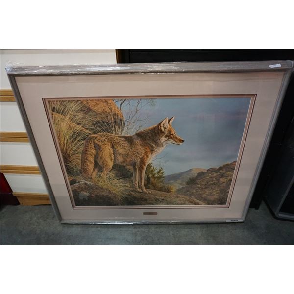 EVENING CALM - COYOTE LEP BY JORGE MAYOL 24545 - LIMITED EDITION PRINT WITH PLATE AND CERTIFICATE OF