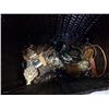 Image 3 : HUGO BOSS DUFFEL BAG AND BASKET OF ASSORTED JEWELRY, WATCH, ETC