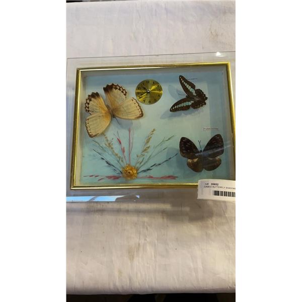 CASED BUTTERFLY SHADOWBOX CLOCK - 3 REAL BUTTERFLYS