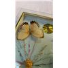 Image 2 : CASED BUTTERFLY SHADOWBOX CLOCK - 3 REAL BUTTERFLYS
