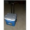 Image 1 : Igloo Cooler