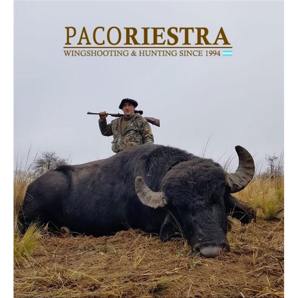 Argentina: 5-day/4-nIght Red Stag or Water Buffalo Hunt