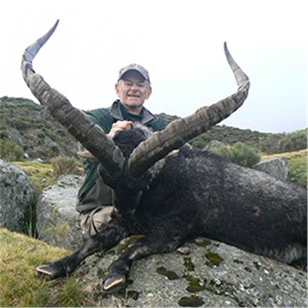 Spain: 5-day hunt for 2 hunters (or 10 days for 1 hunter)