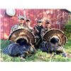 Image 2 : Texas: Spring Rio Grande Turkey Hunt and Redfish Day Trip