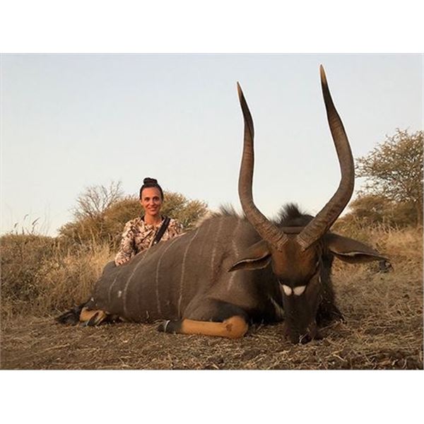 Limpopo, RSA: 7-day Nyala Hunt for 2 Hunters