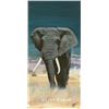 Image 1 : High Quality GiclŽe "Big Bull Elephant" by Artist Clint Eagars