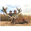 Image 2 : Argentina: 5-day Red Stag Hunt for 1 Hunter