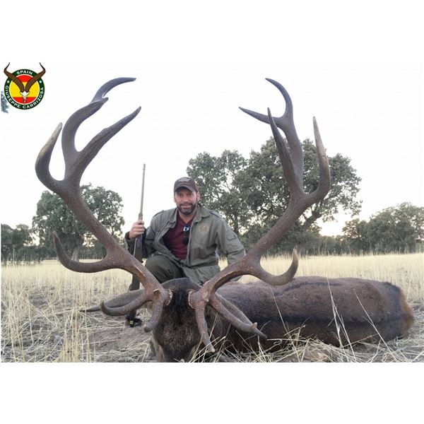 Spain: 4-day Hunt for Iberian Red Deer