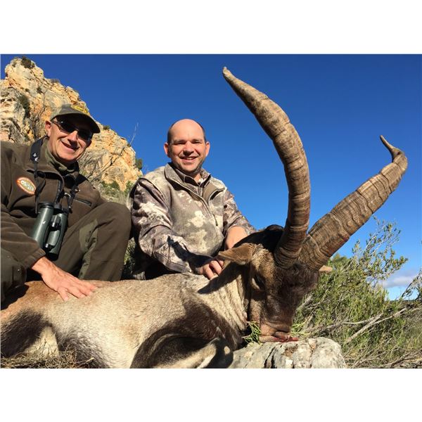Spain: Beceite Ibex management Hunt Plus Free Observer