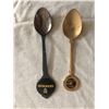 Image 5 : 11 Collectible spoons
