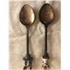 Image 7 : 11 Collectible spoons