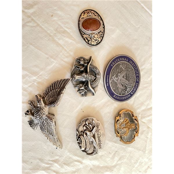 Belt Buckle Lot