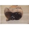 Image 4 : CARVED WOOD CHINESE CHILDREN (2 PCS)