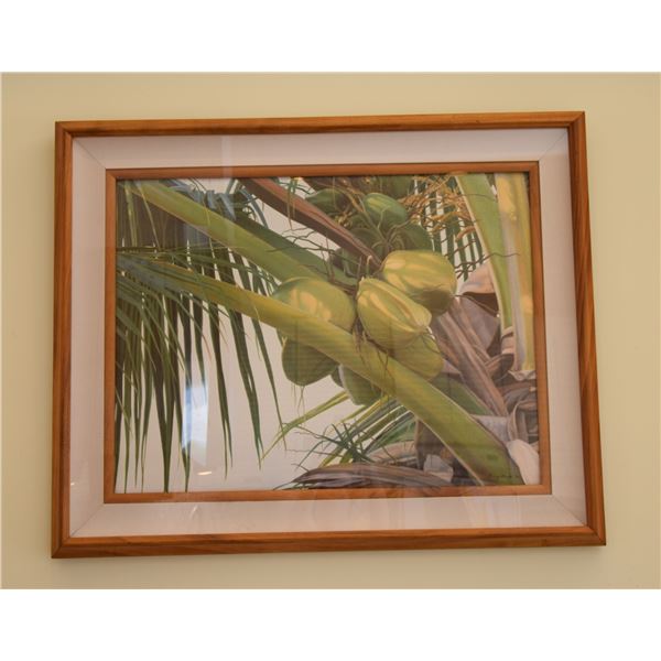 KOA FRAMED PRINT, "COCONUTS"; GARY REED (39 1/2" W X 32" H)