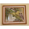 Image 1 : KOA FRAMED PRINT, "COCONUTS"; GARY REED (39 1/2" W X 32" H)