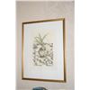 Image 1 : FRAMED PRINTS, "ORCHID V" & "ORCHID VI"; SIGNED & NUMBERED 231/350 & 23/350 (19" X 25")