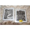Image 1 : FRAMED PRINTS (16" X 20") (2 PCS)