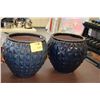 Image 1 : PLANTERS (PAIR)