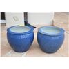 Image 1 : FISH BOWLS (21" D) (PAIR)