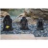 Image 1 : GARDEN MONKEYS: SEE NO EVIL, SPEAK NO EVIL & HEAR NO EVIL ( 3 PCS)