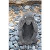 Image 4 : GARDEN MONKEYS: SEE NO EVIL, SPEAK NO EVIL & HEAR NO EVIL ( 3 PCS)